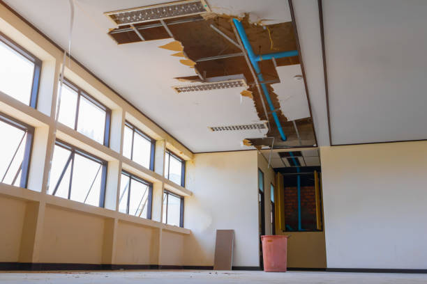 Best Fire Damage Restoration  in Hialeah Gardens, FL