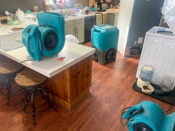 Best Flood damage cleanup  in Hialeah Gardens, FL