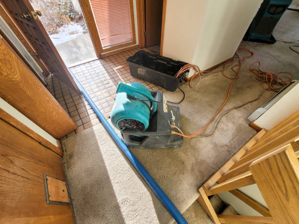 Best Flooded house restoration  in Hialeah Gardens, FL