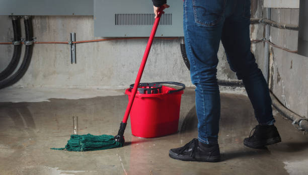 Best Flood restoration services  in Hialeah Gardens, FL
