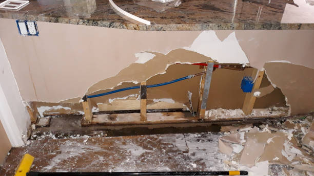 Best Water damage restoration insurance claims  in Hialeah Gardens, FL
