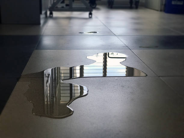 Best 24-hour water damage restoration  in Hialeah Gardens, FL