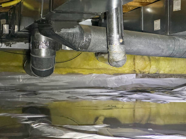 Best Water damage contractors near me  in Hialeah Gardens, FL