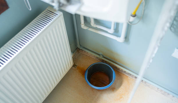 Best Water damage cleanup near me  in Hialeah Gardens, FL