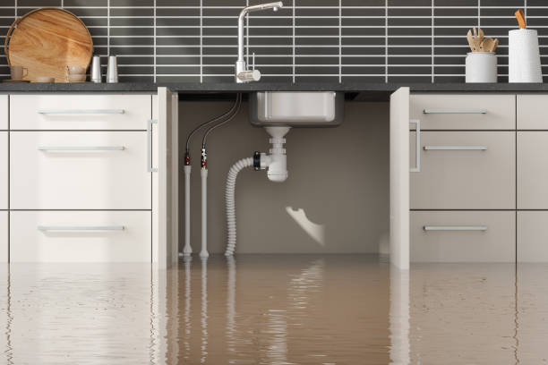 Carpet water damage restoration in Hialeah Gardens, FL