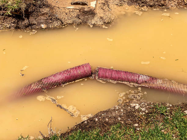 Best Water damage restoration near me  in Hialeah Gardens, FL