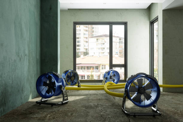 Fire Damage Restoration in Hialeah Gardens, FL