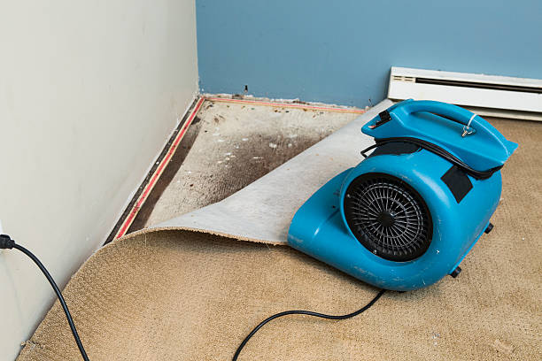 Trusted Hialeah Gardens, FL Water damage restoration Experts