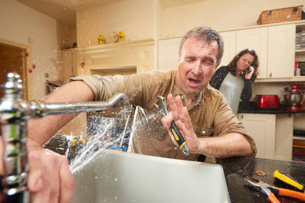 Best Ceiling water damage repair  in Hialeah Gardens, FL